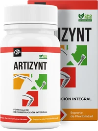 ArtiZynt
